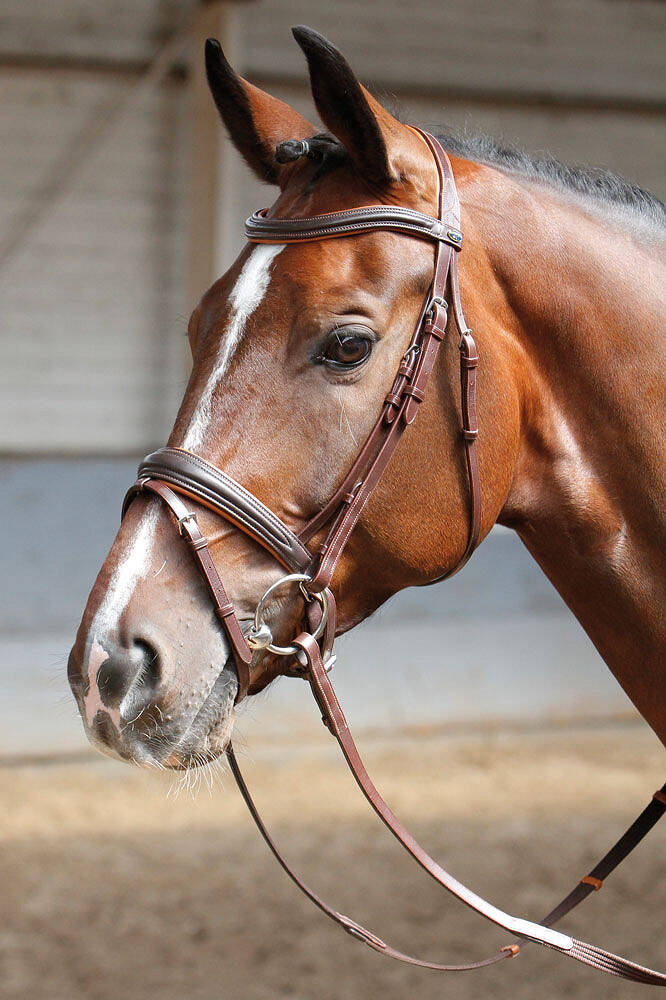 Hoofdstel Soft lederbruin