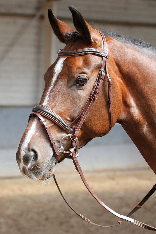 Hoofdstel Soft lederbruin