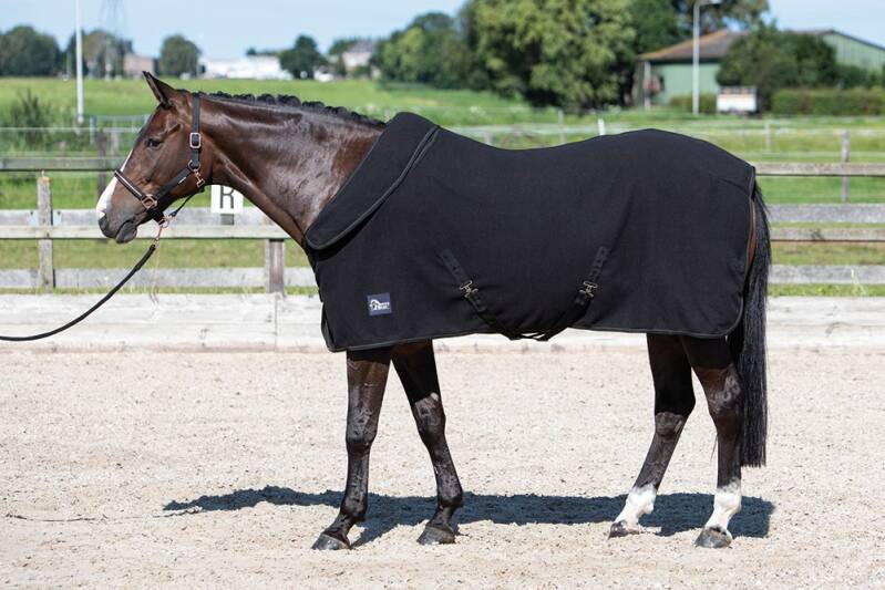 Harry's Horse Fleecedeken met Oprolbare Nek