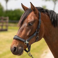 Harry's Horse Halsterset Equestrian Society ZOMER 2026, Black-Sand